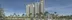 Aster Avenue 36