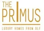 DLF The Primus gallery