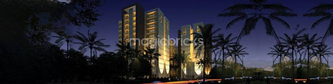 GLS Avenue 81